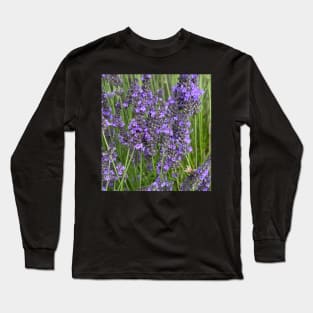 Rest Your Weary Head in a Fragrant Lavender Field Long Sleeve T-Shirt